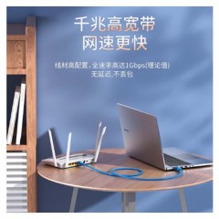 ☆胜为 SHENGWEI LC-6050C 六类网线 纯铜千兆8芯双绞网络跳线 5米 蓝色 无氧铜高速网络连接线 千兆网线