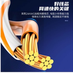 ☆胜为 SHENGWEI LC-6100G 六类网络跳线 纯铜千兆8芯双绞 10米 黑色