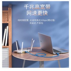 ☆胜为 SHENGWEI LC-6100C 六类网线 纯铜千兆8芯双绞网络跳线 10米 蓝色 无氧铜高速网络连接线 千兆网线