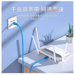 ☆胜为 SHENGWEI LC-6100C 六类网线 纯铜千兆8芯双绞网络跳线 10米 蓝色 无氧铜高速网络连接线 千兆网线