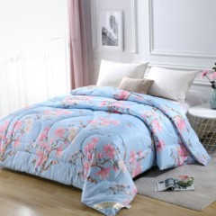 南极人 磨毛蚕丝冬被（鸟语花香蓝）