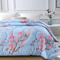 南极人 磨毛蚕丝冬被（鸟语花香蓝）