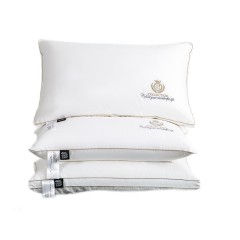 伊伊爱 大豆ZM舒适枕芯 白色 48*74/ZX0HJC2100059