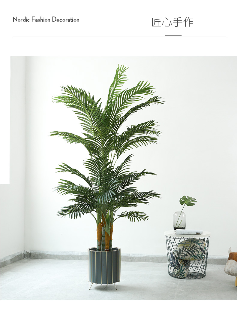 详情页样板 棕葵_14.jpg