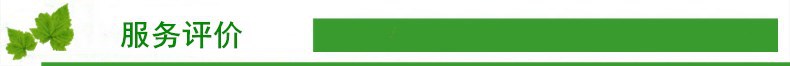 服务评价4