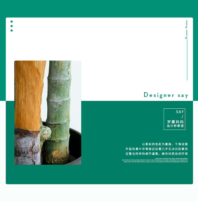 详情页样板 棕葵_02.jpg