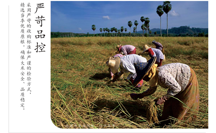 20170605-曼哈浓香泰粮德莉进口香米5KG商品详情页_05.jpg