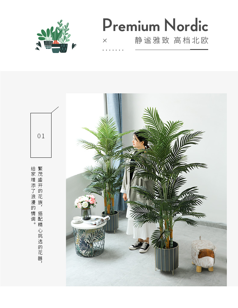 详情页样板 棕葵_05.jpg