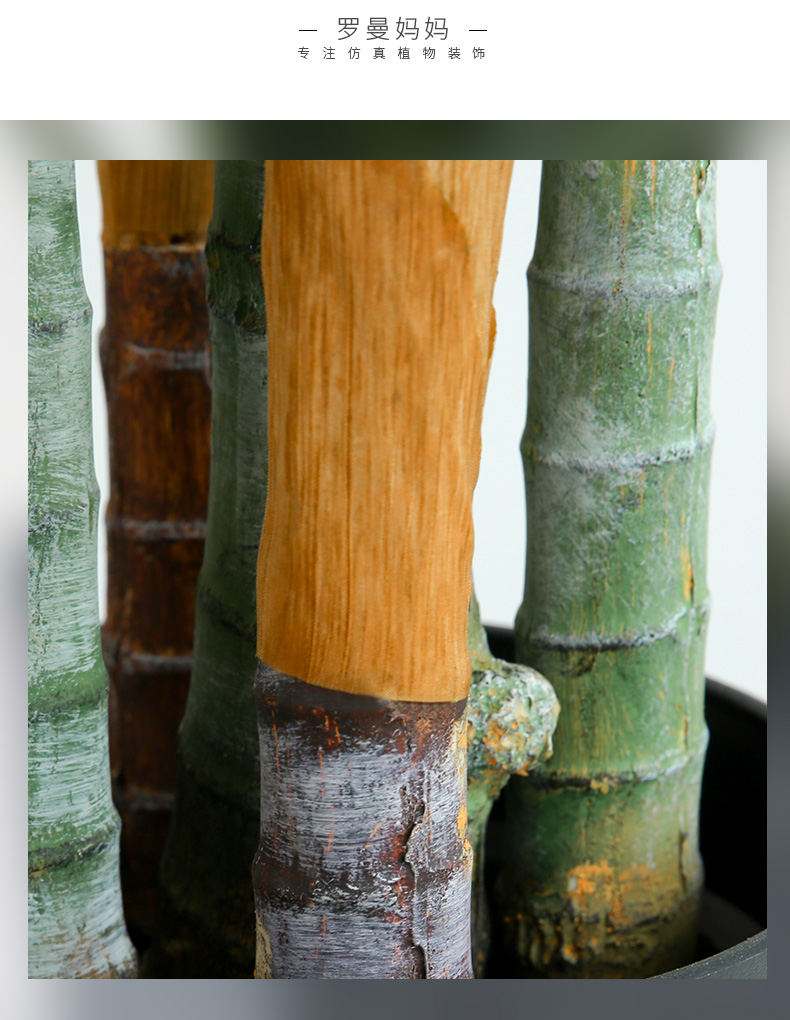 详情页样板 棕葵_17.jpg