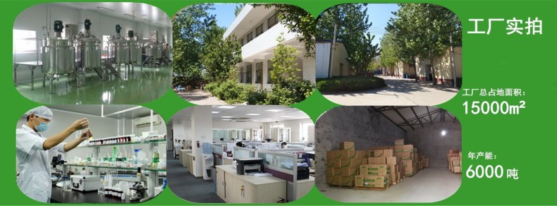 详情4-工厂实拍