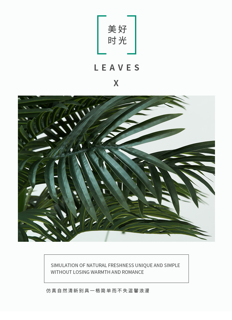 详情页样板 棕葵_03.jpg