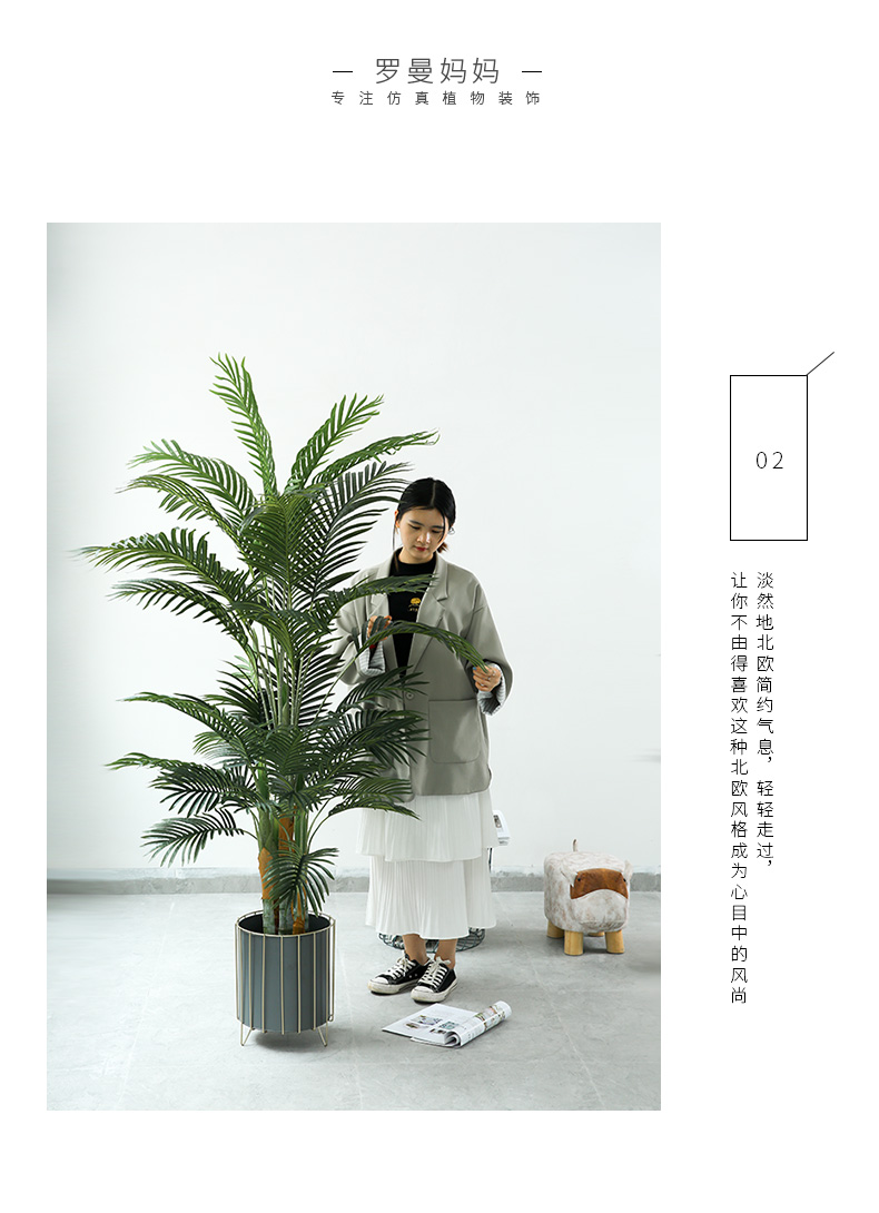 详情页样板 棕葵_06.jpg