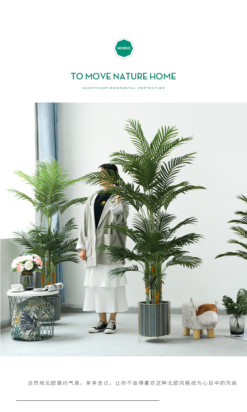 详情页样板 棕葵_12.jpg