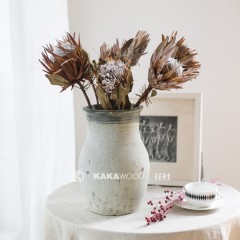 国产 南非进口干花高档插花花束搭配软装装饰花帝王花公主花