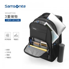 Samsonite/新秀丽 时尚休闲双肩包男高端商务背包潮轻电脑包 36B10