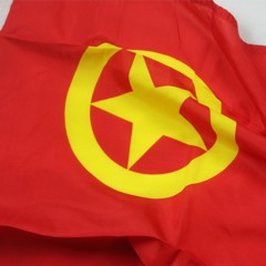 国产 5号团旗 中国共青团团旗 各种尺寸团旗