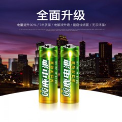 双鹿 碱性5号电池24节