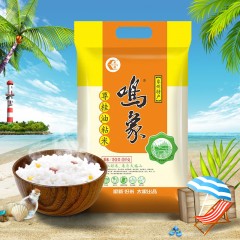 太粮 鸣象尊桂油粘米10KG/袋 广西香软米非东北大米