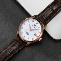 天王表 防水自动机械表 时尚真皮带男士手表GS5918