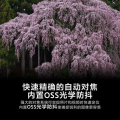 ☆索尼 SONY FE 70-200MM F2.8 GM OSS（SEL70200GM）黑色