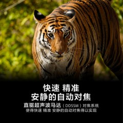 ☆索尼 SONY SEL200600G FE 200-600MM F5.6-6.3 G OSS 全画幅超远摄变焦G镜头