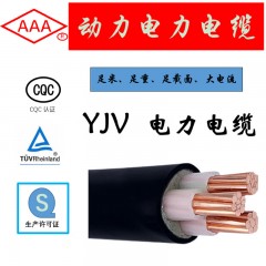 AAA广东电缆厂YJV国标铜芯阻燃电力电缆充电桩专用 耐高低温耐磨阻燃 YJV 1芯*25【1米】单位：米