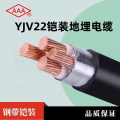 AAA 广东电缆YJV22钢带铠装地埋防老化国标铜芯电力工程电缆阻燃2芯 2*1.5【1米】单位：米