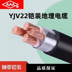 AAA YJV22钢带铠装地埋防老化国标铜芯电力工程电缆阻燃2芯 2*2.5【1米】单位：米