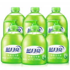 蓝月亮 芦荟抑菌洗手液 （500g瓶装+500g瓶补）*3 共6瓶 单位：组